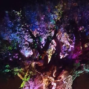 Meet your Posher, Hilda